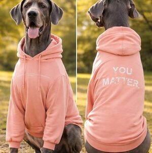Comfrt Clothing 6XL Peach Hoodie – “YOU MATTER” Graphic – Oversized
